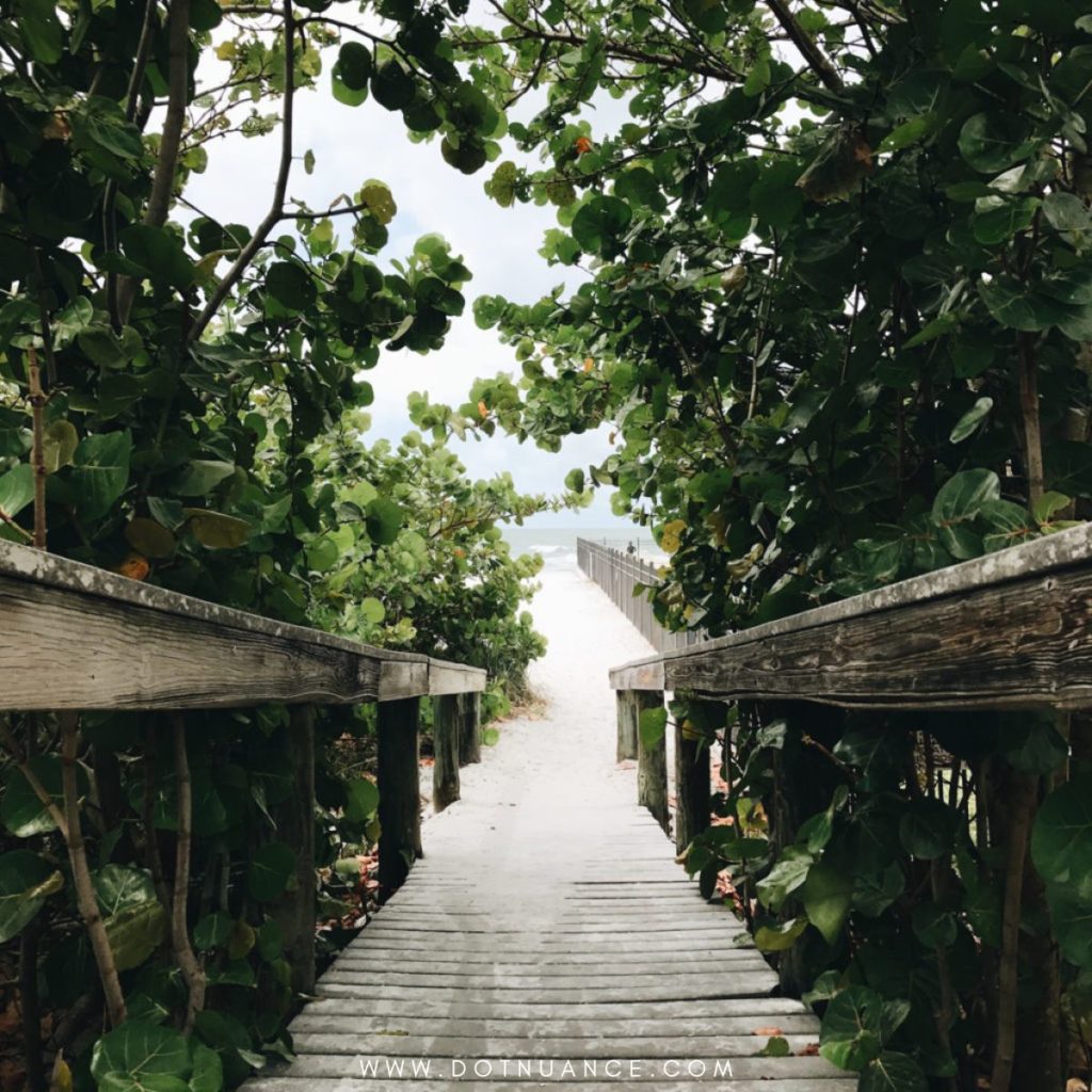 Biophilic design - lush greens, beach, sand
