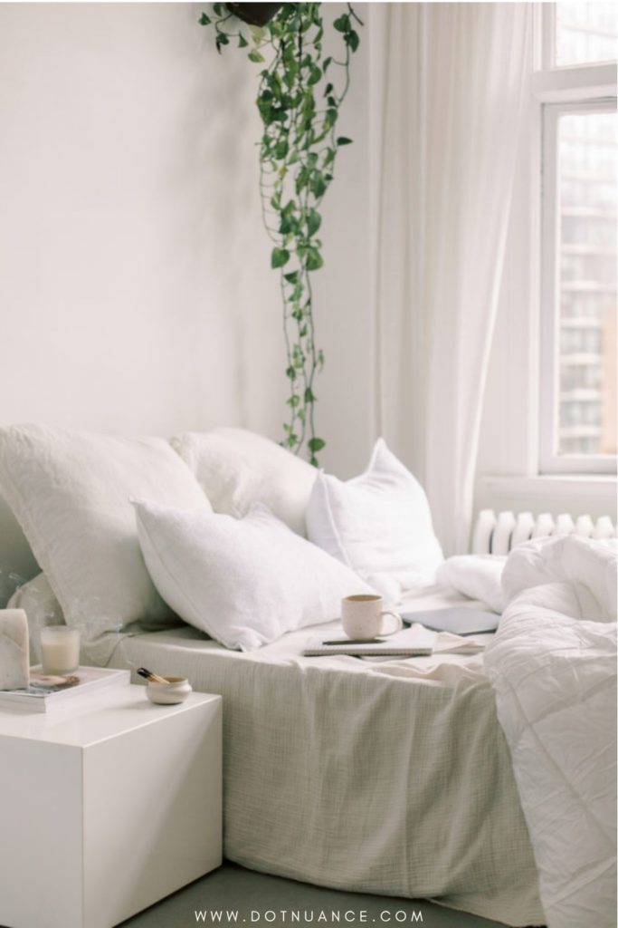 Biopholic design - bedroom with hanging plants