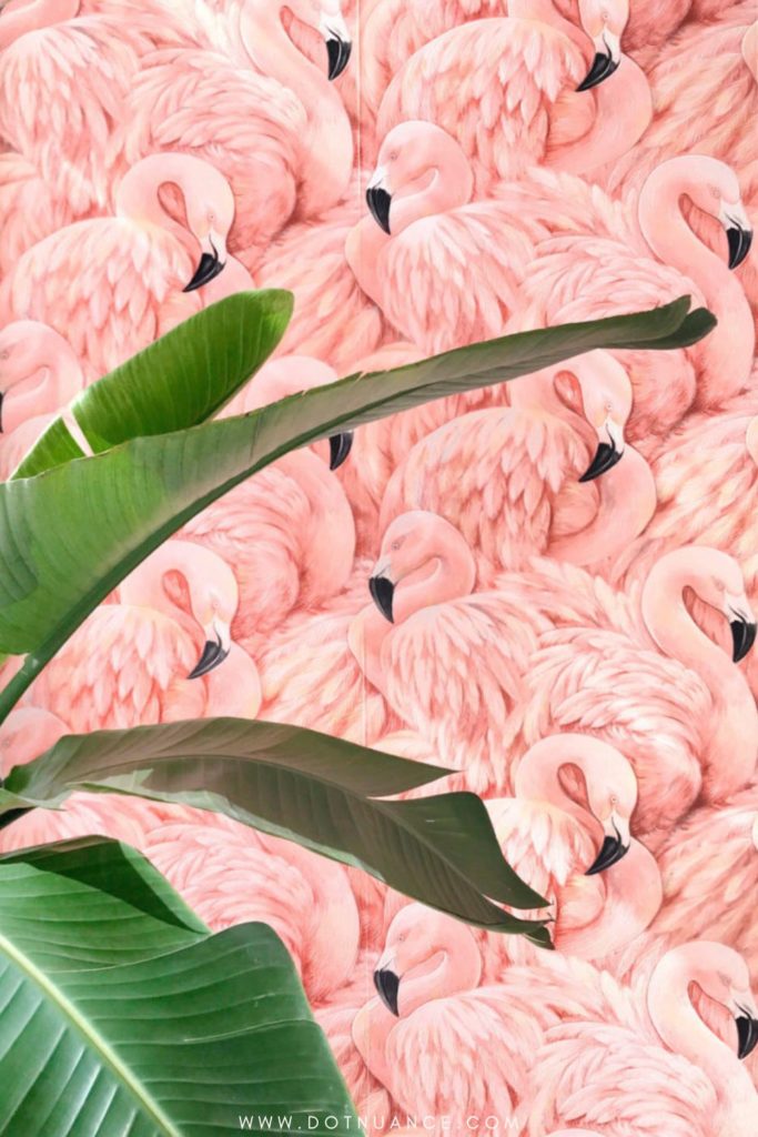 Biopholic design - nature inspired flamingo wallpaper