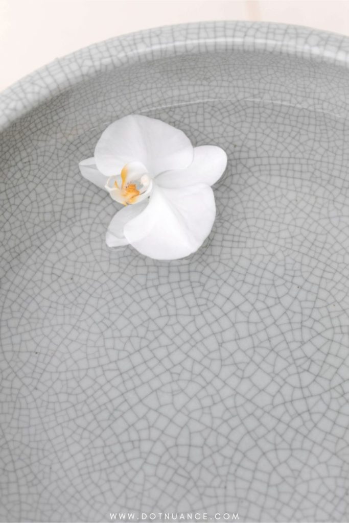 Biopholic design - water