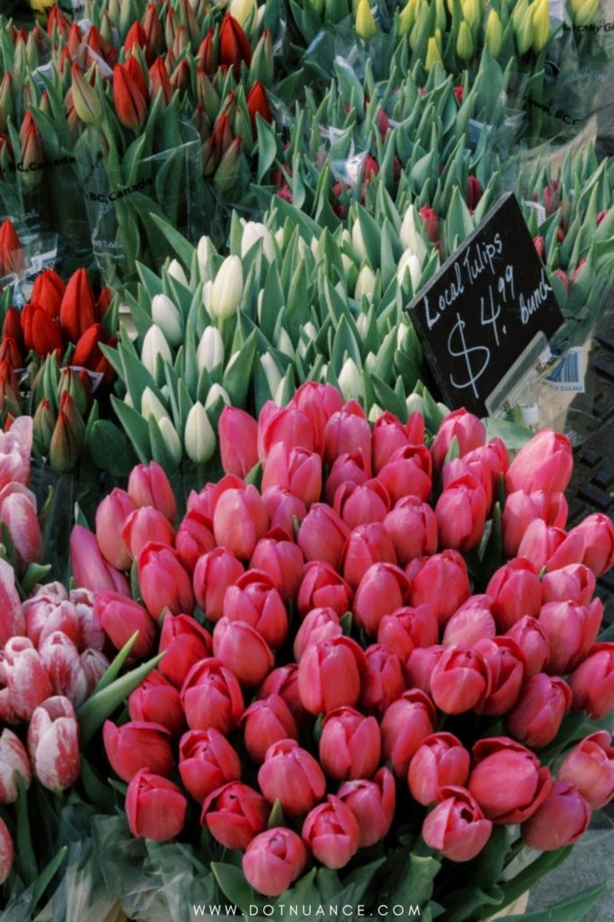 Flower arrangement ideas - colorful tulips