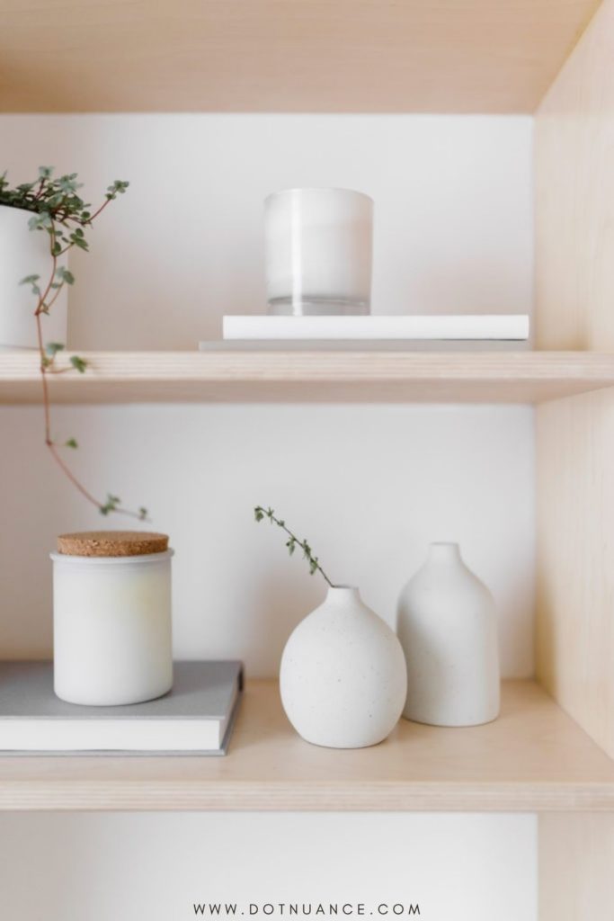 shelves with plants in vase