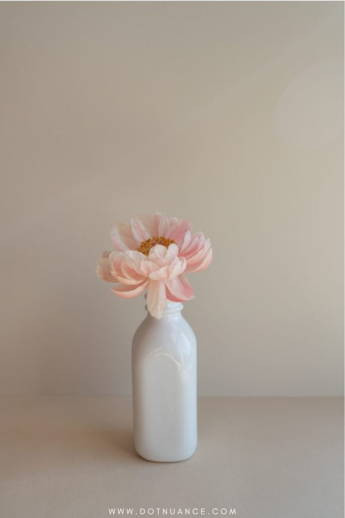 single stem in vase