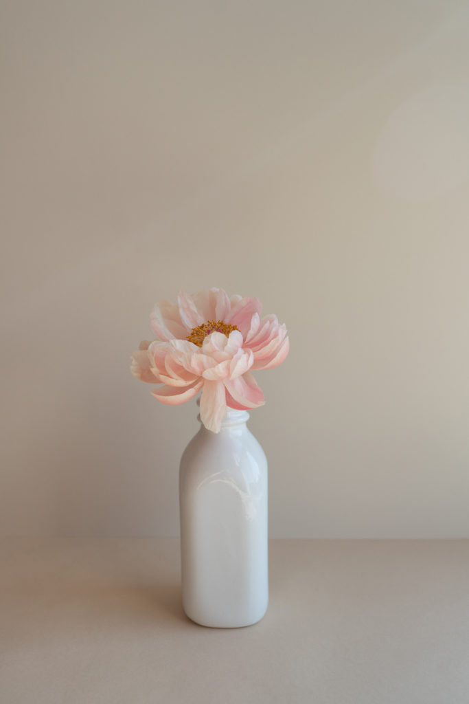 pink flower in vase