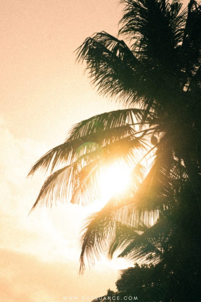 nature - how to meditate for beginners - mindful