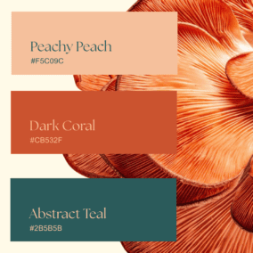 2027 color palette trends - peachy, coral, teal. nature inspired colors